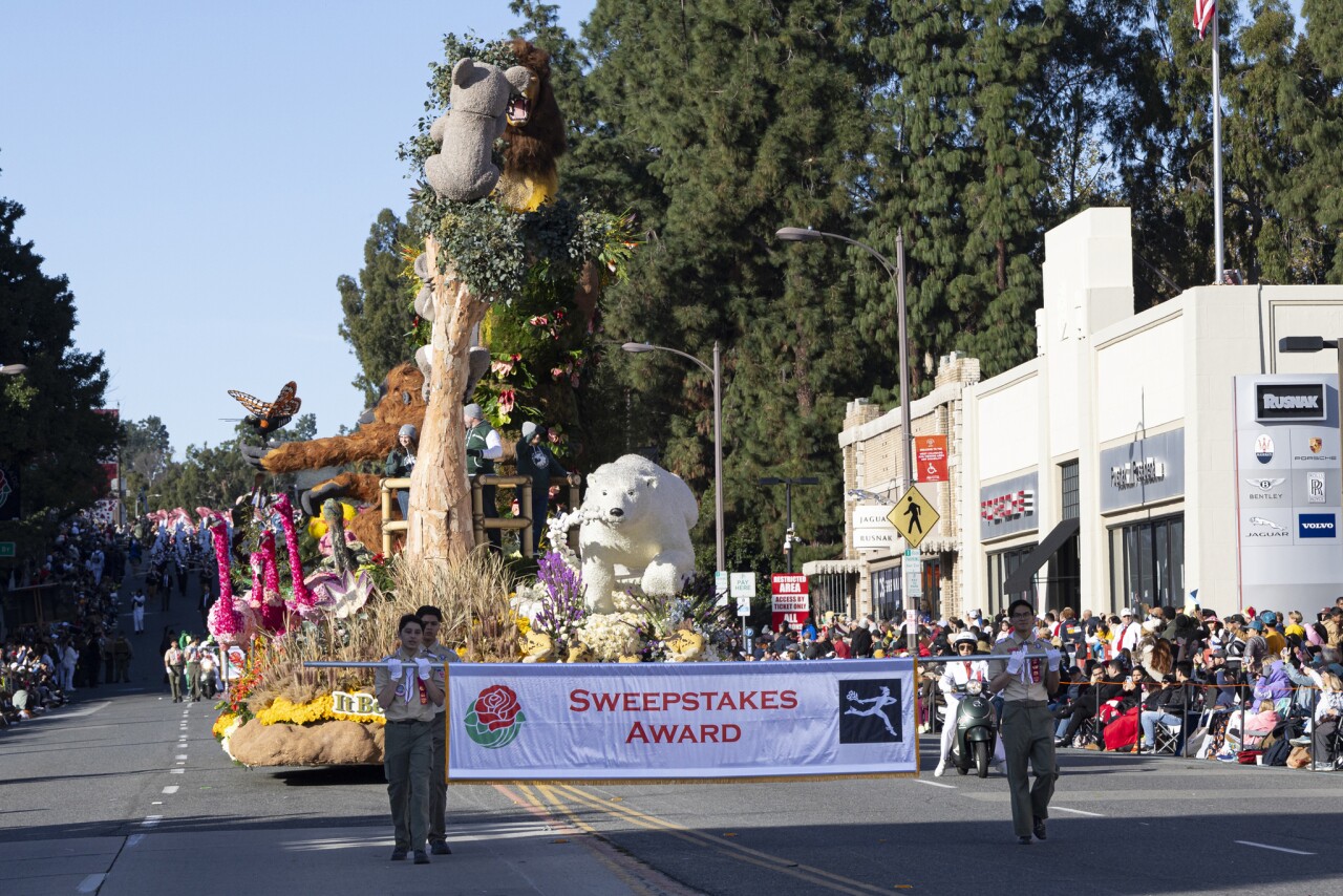 zoo new year's celebrations psa10 【公式通販】